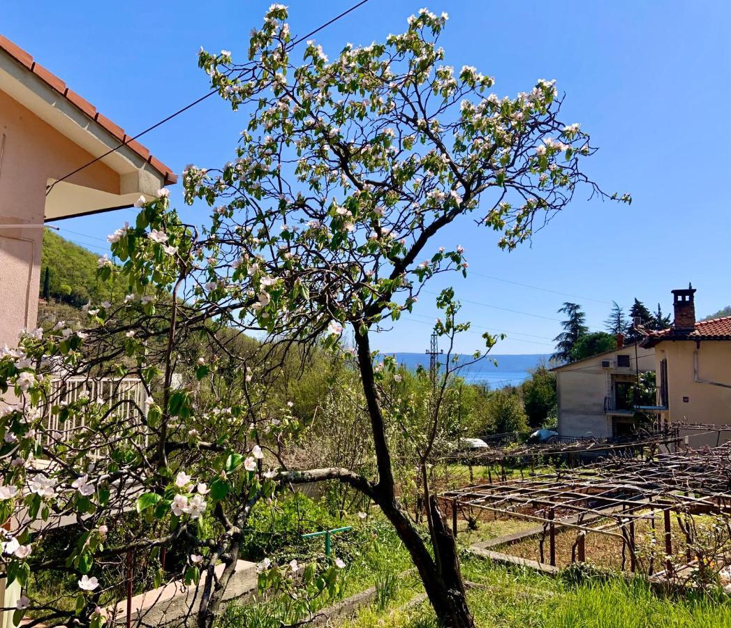 Villa Flamingo Mošćenička Draga Exterior foto